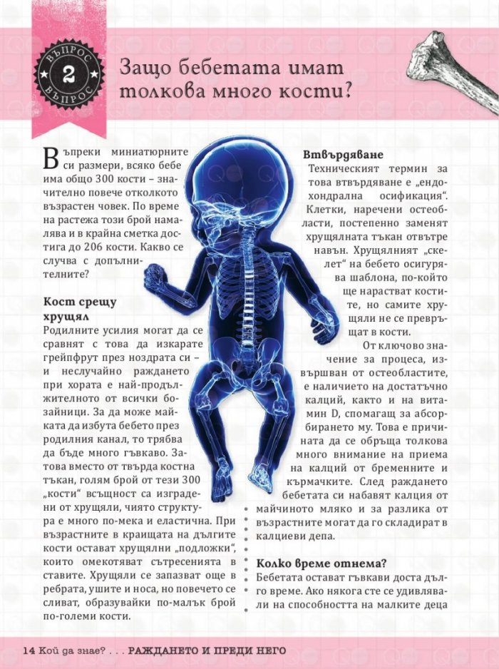 Кой да знае? Човешкото тяло