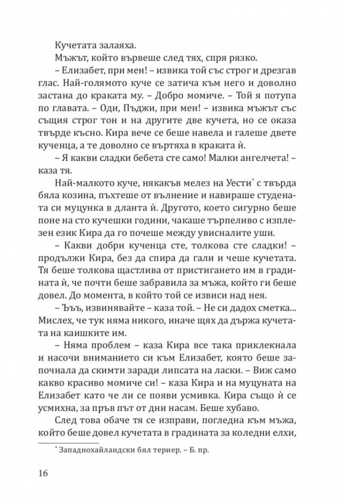 Градина "Крисмъс Трий" (с цветни порезки)