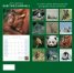 Calendar 2017: Baby Wild Animals