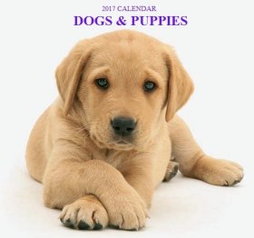 Calendar 2017: Dogs & Puppies