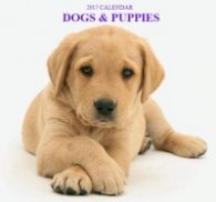 Calendar 2017: Dogs & Puppies