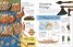 Eyewitness Encyclopedia of Everything: The Ultimate Guide to the World Around You