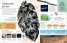 Eyewitness Encyclopedia of Everything: The Ultimate Guide to the World Around You