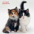 Calendar 2017: Kittens
