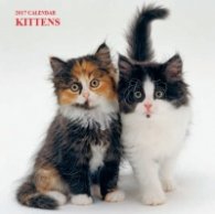 Calendar 2017: Kittens