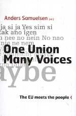 One Union Many Voices