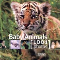 Baby Animals/ 1001 Photos