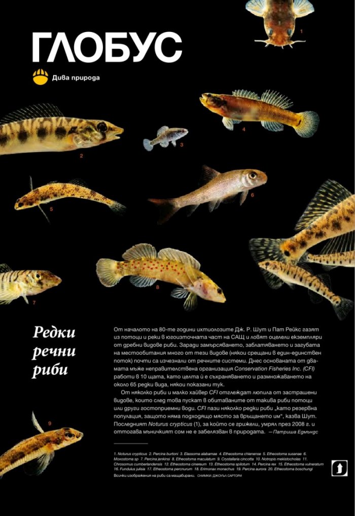 National Geographic 3/2015