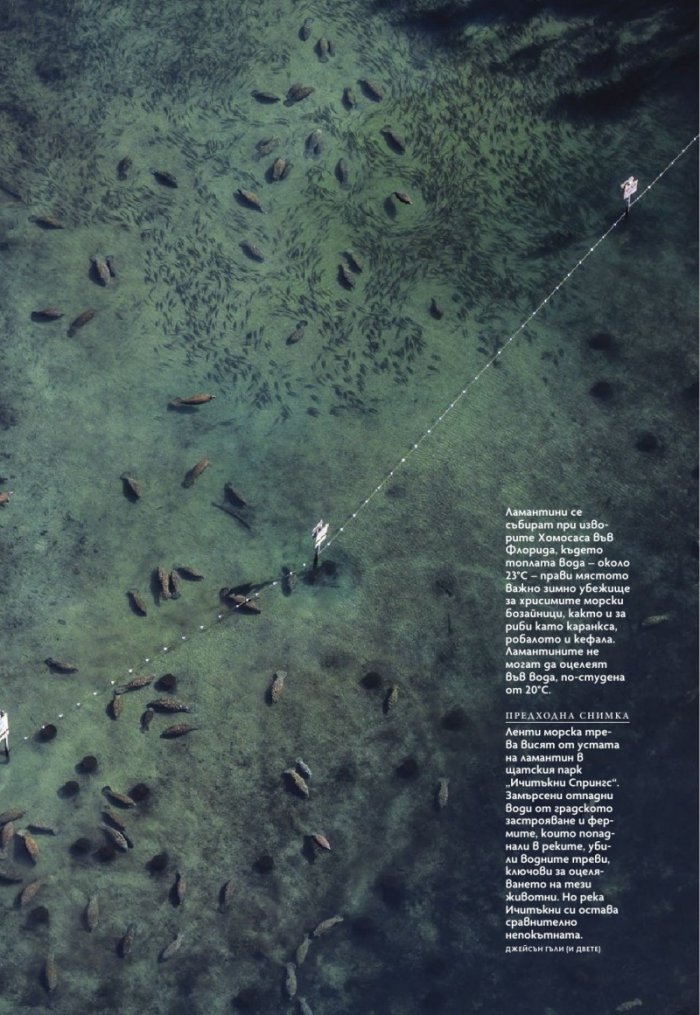 National Geographic България Март/2023