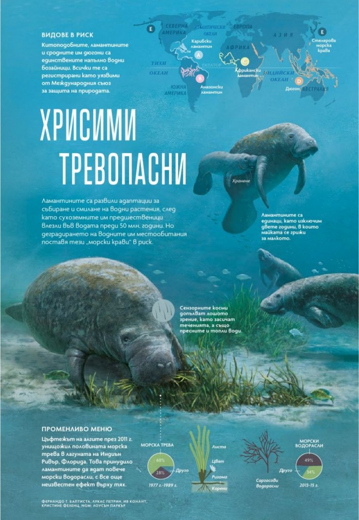 National Geographic България Март/2023