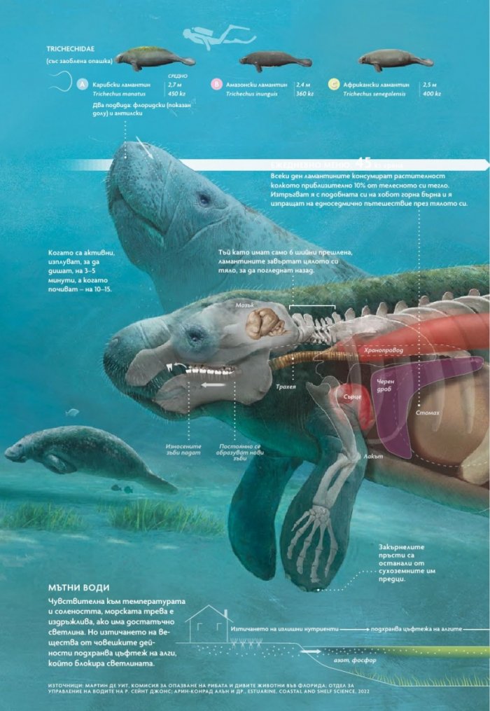 National Geographic България Март/2023