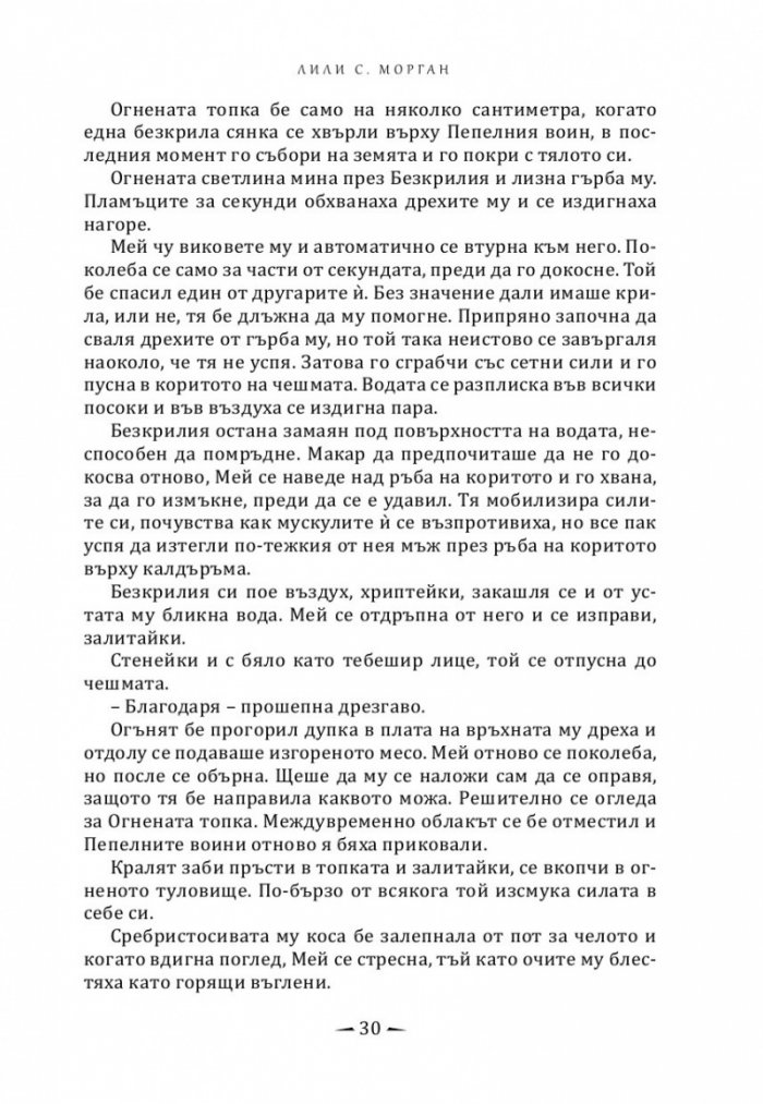 Град на горящи криле