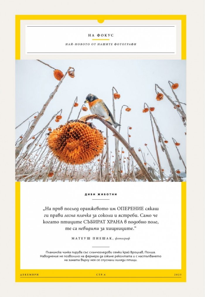 National Geographic България Декември/2025