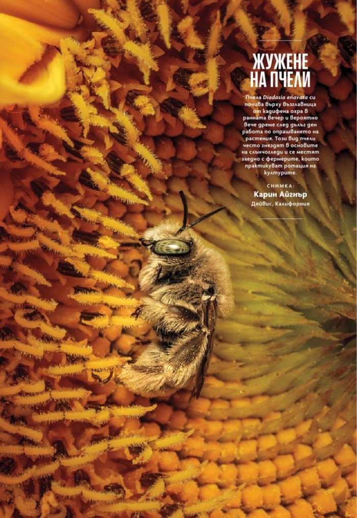 National Geographic България Декември/2025