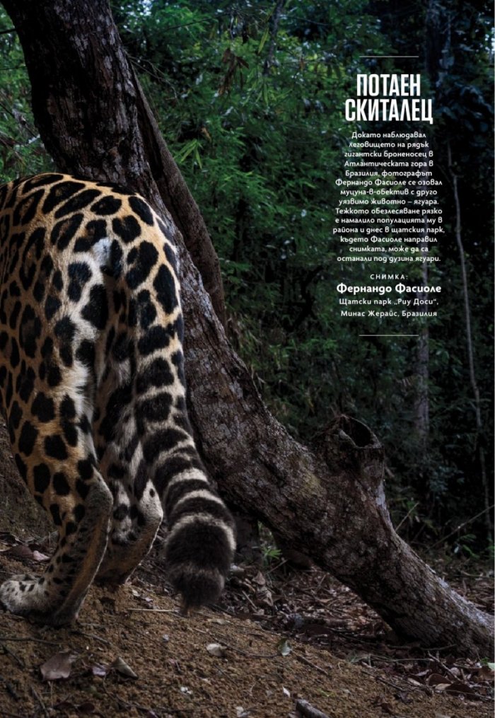 National Geographic България Декември/2025