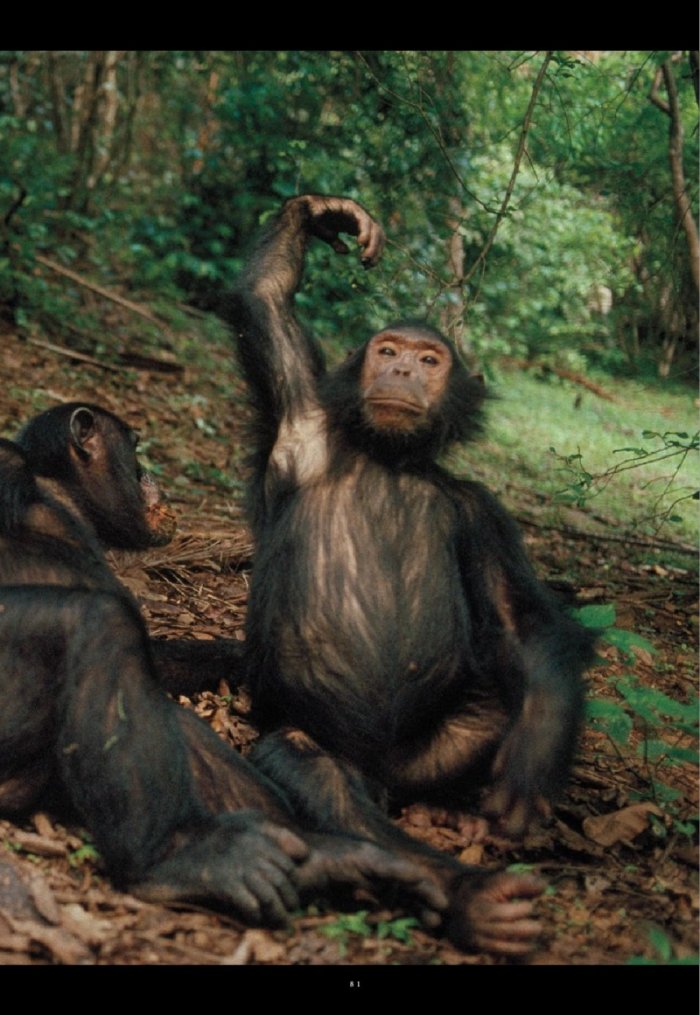 National Geographic България Декември/2025