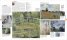 Art : The Definitive Visual History