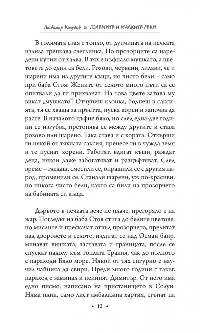 Големите и малките реки. Истории от едно изчезнало село