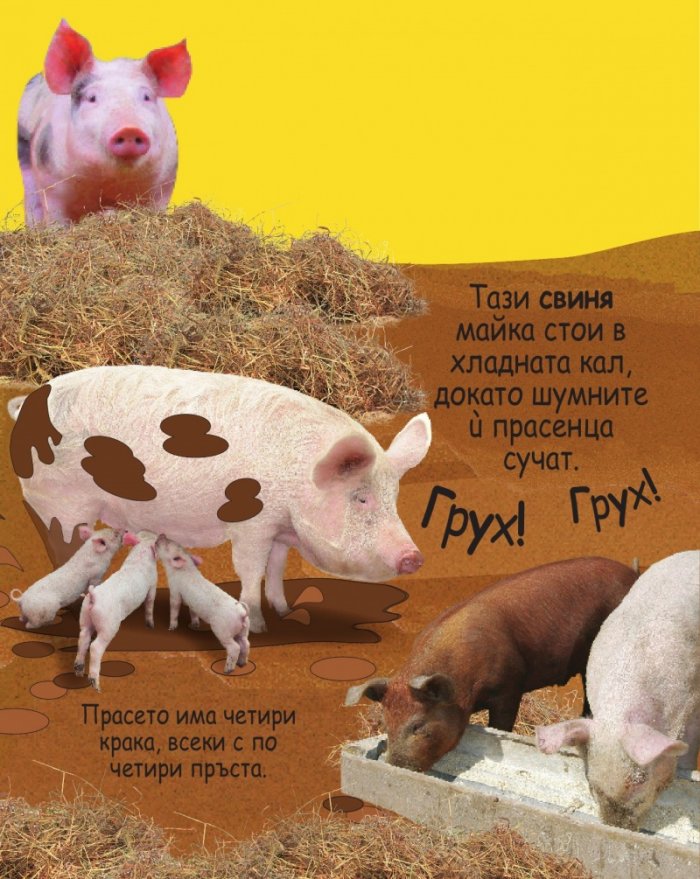 Опознай звуците: Фермата (10 звука на животни)