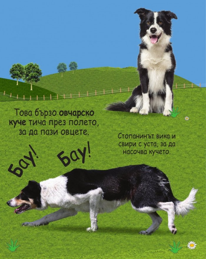 Опознай звуците: Фермата (10 звука на животни)