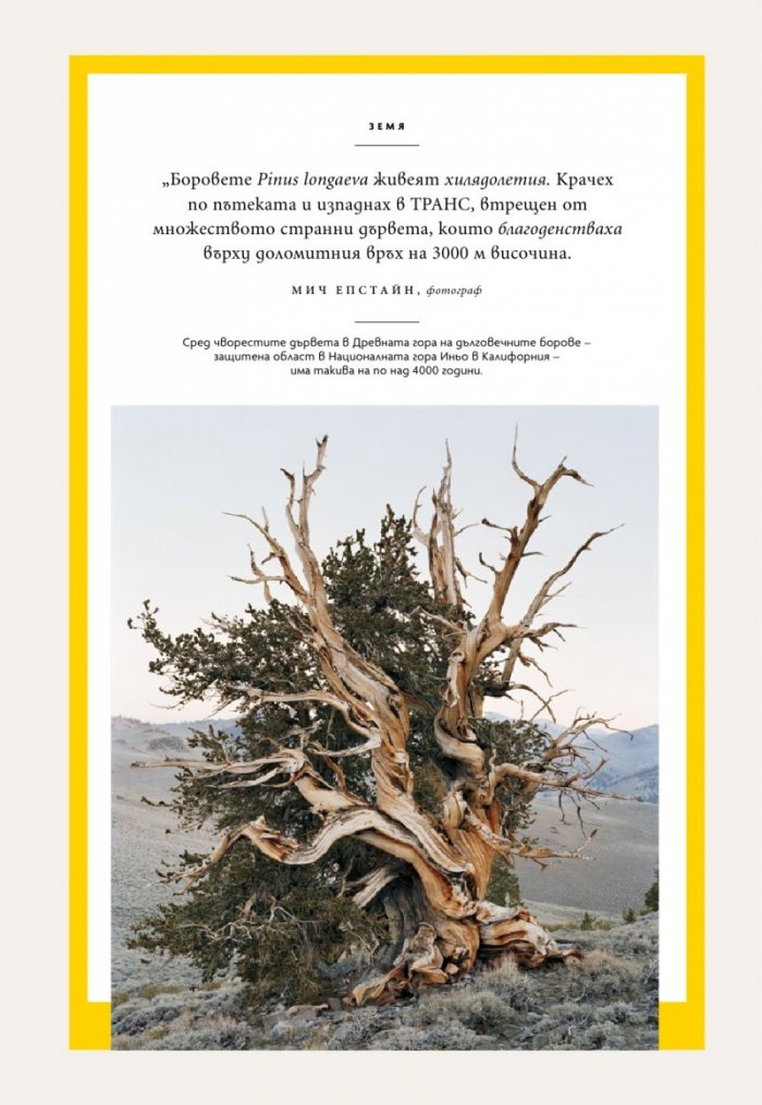National Geographic България Януари/2026
