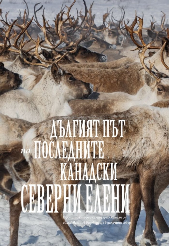National Geographic България Януари/2026