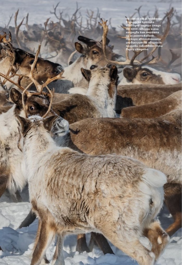 National Geographic България Януари/2026