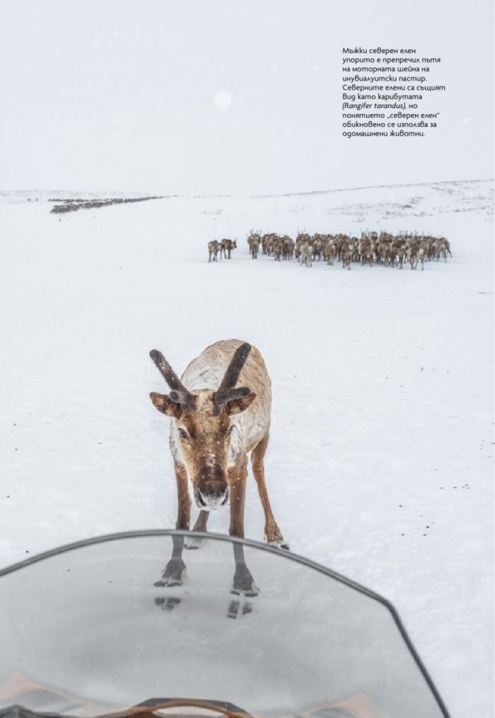 National Geographic България Януари/2026