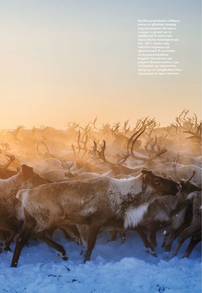 National Geographic България Януари/2026