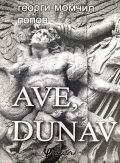 AVE, DUNAV. Епос за старата улица "Дунав"