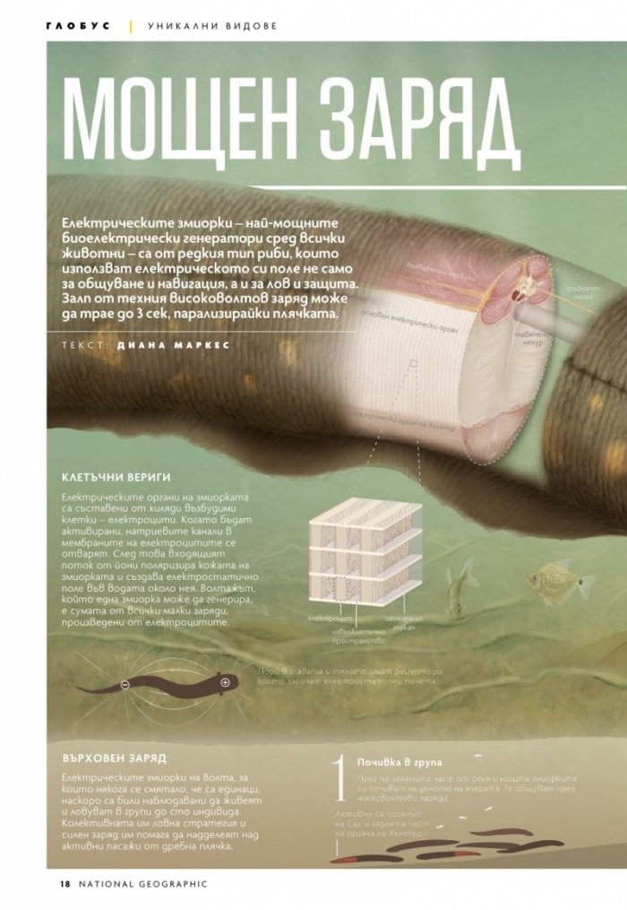 National Geographic България 9/2020