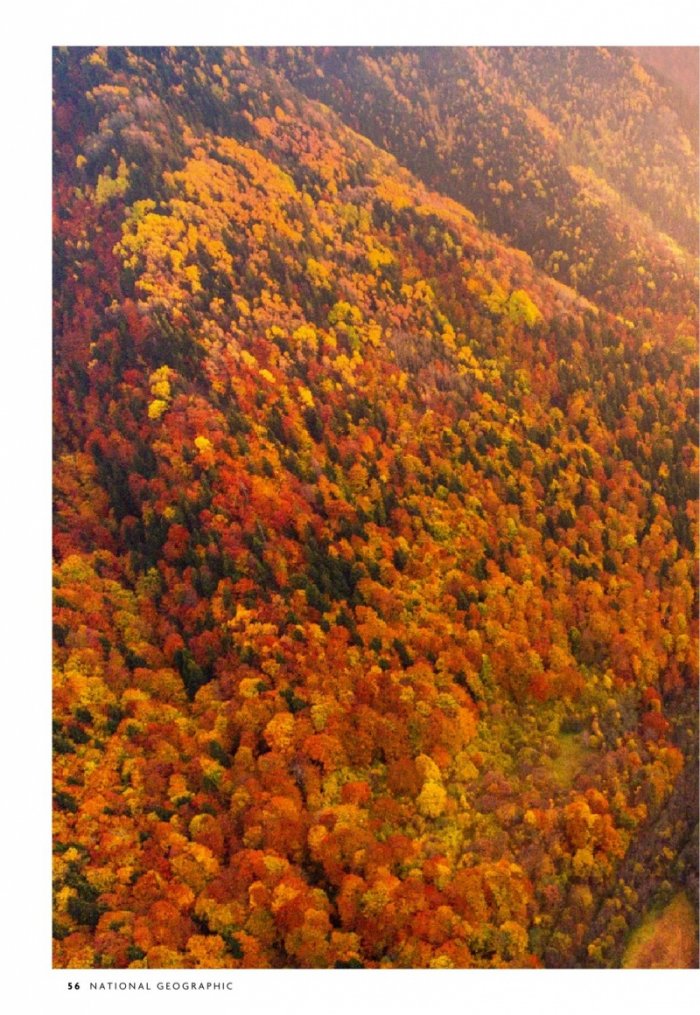 National Geographic България 9/2020