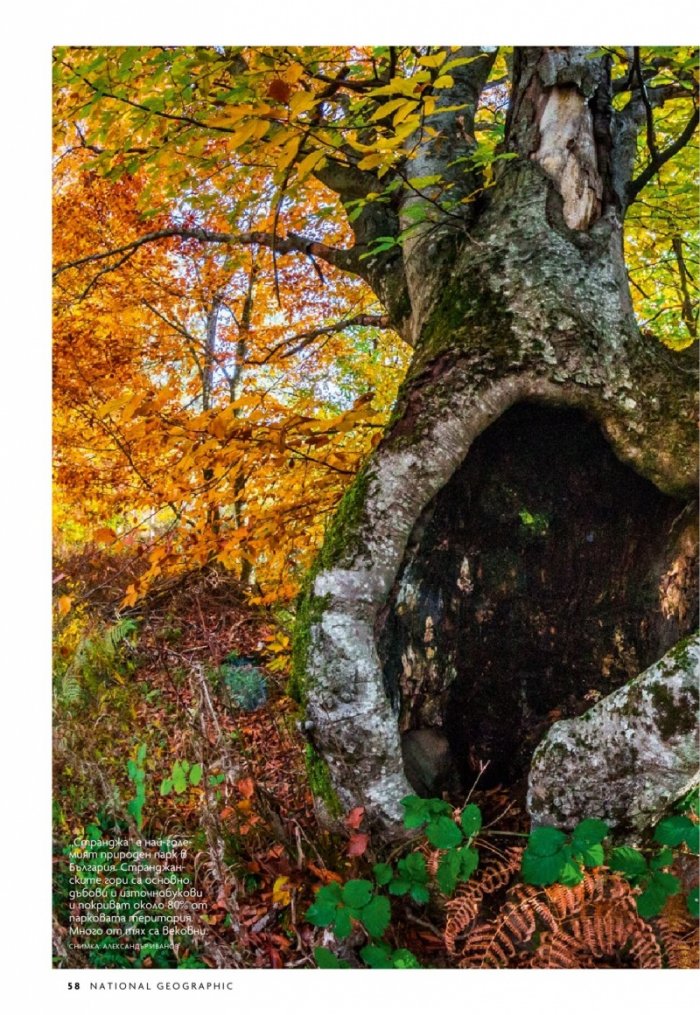 National Geographic България 9/2020