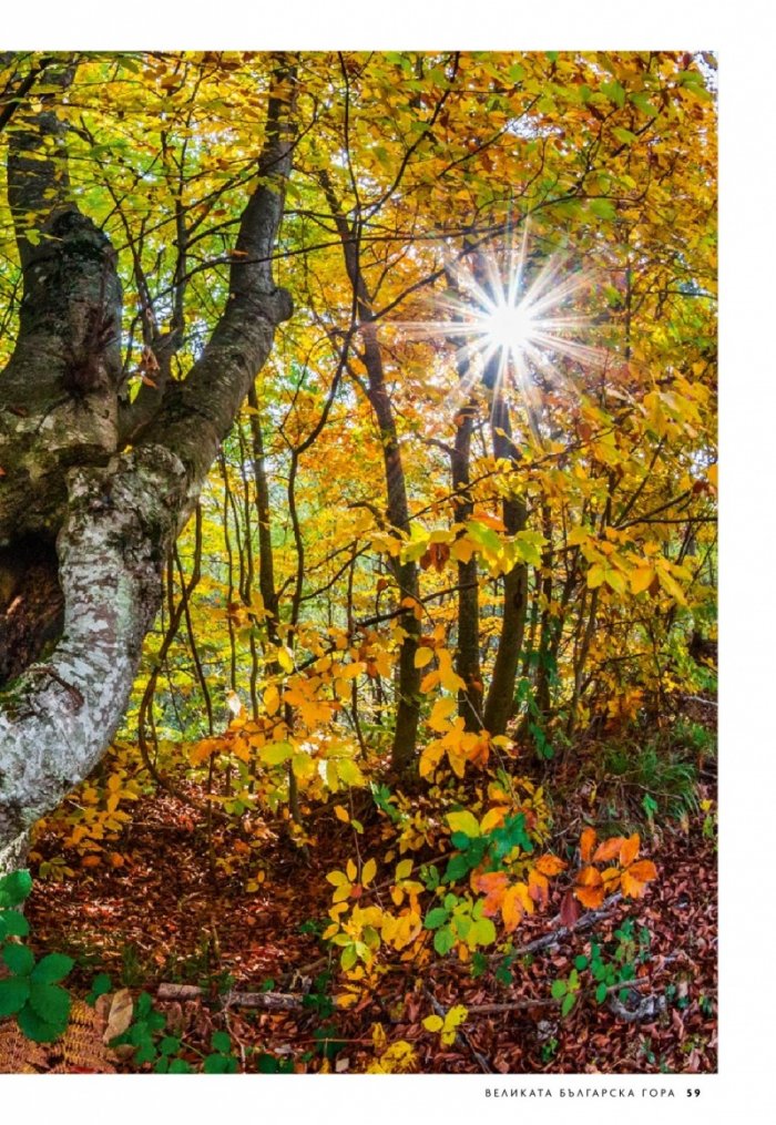 National Geographic България 9/2020