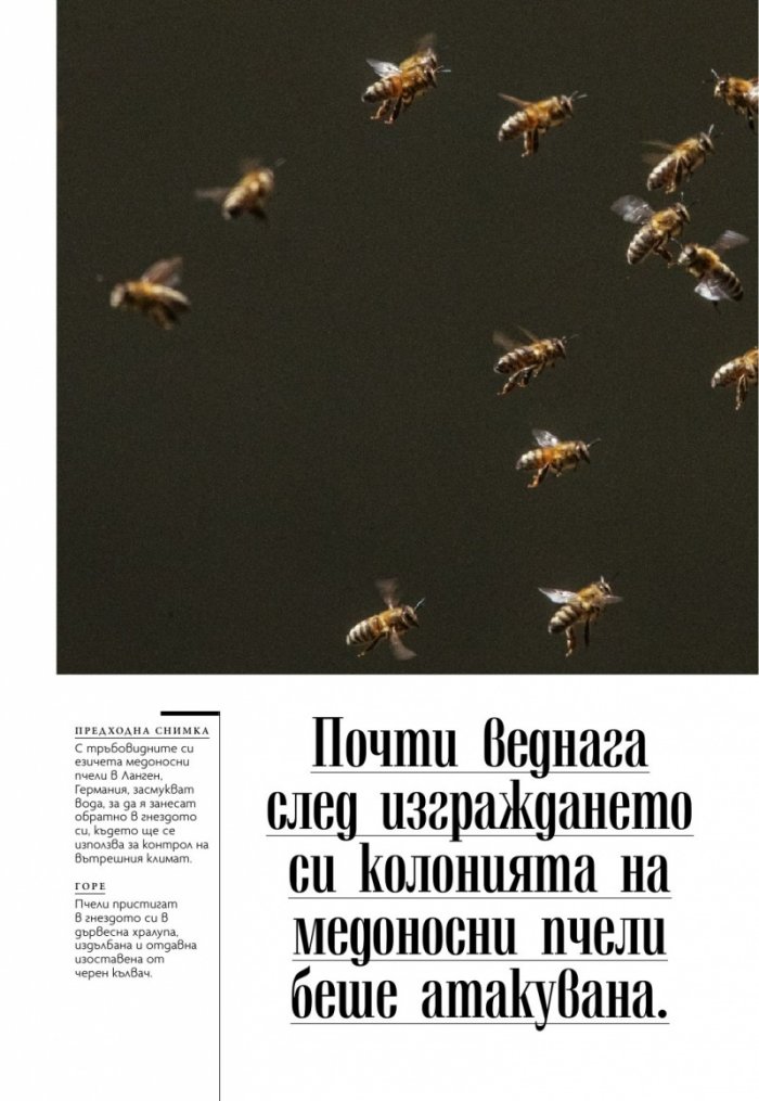 National Geographic България 9/2020