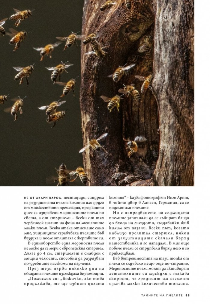 National Geographic България 9/2020