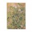 Бележник Paperblanks - Cezanne's Terracotta Pots and Flowers