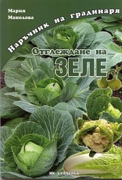 Отглеждане на зеле