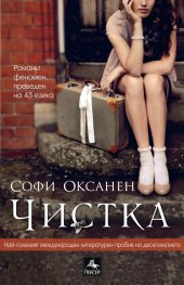 Чистка