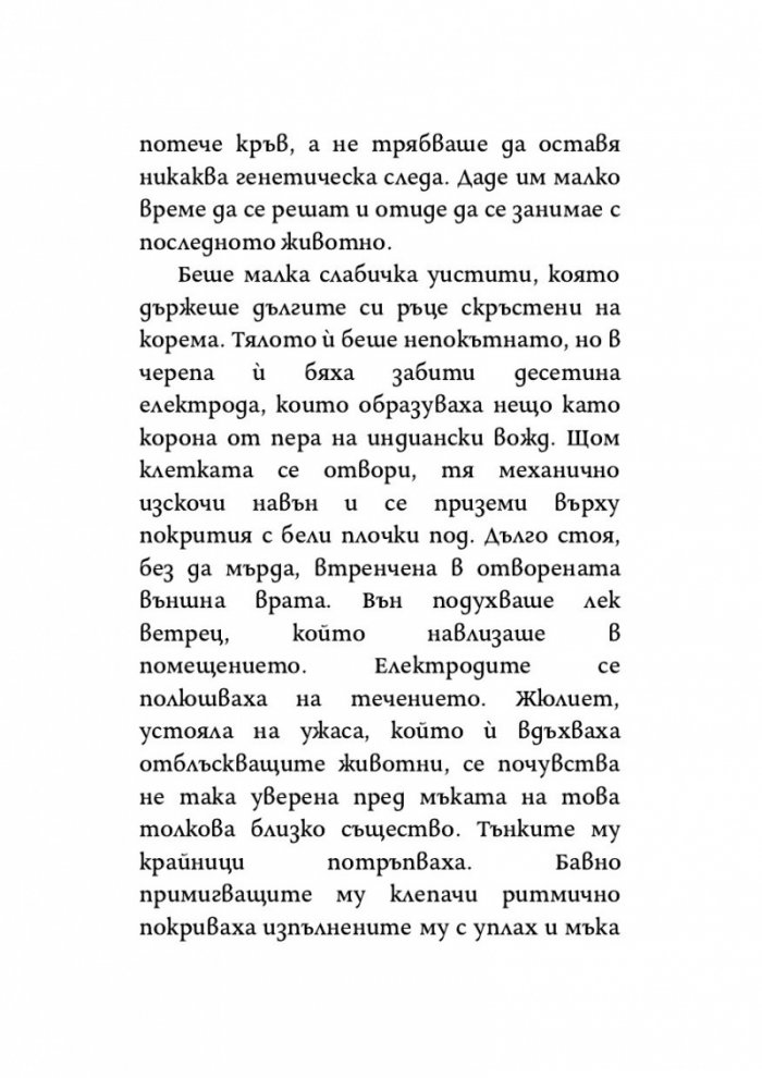 Адам отпреди грехопадението
