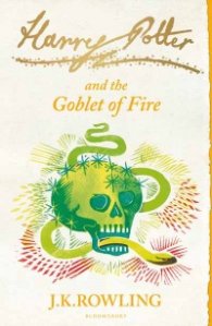Harry Potter and The Goblet of Fire 22325442