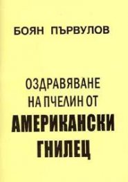 Оздравяване на пчелин от американски гнилец