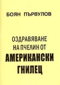 Оздравяване на пчелин от американски гнилец
