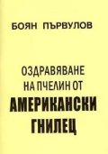 Оздравяване на пчелин от американски гнилец