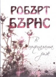 В цъфналата ръж