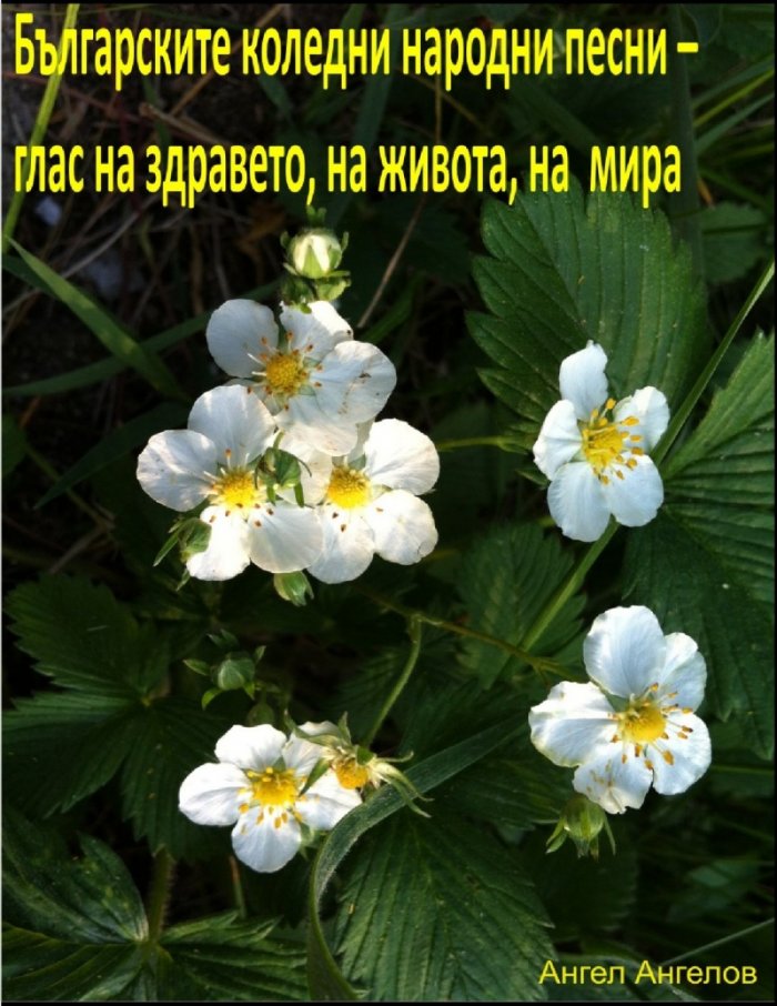 Българските коледни народни песни – глас на здравето, на живота, на мира
