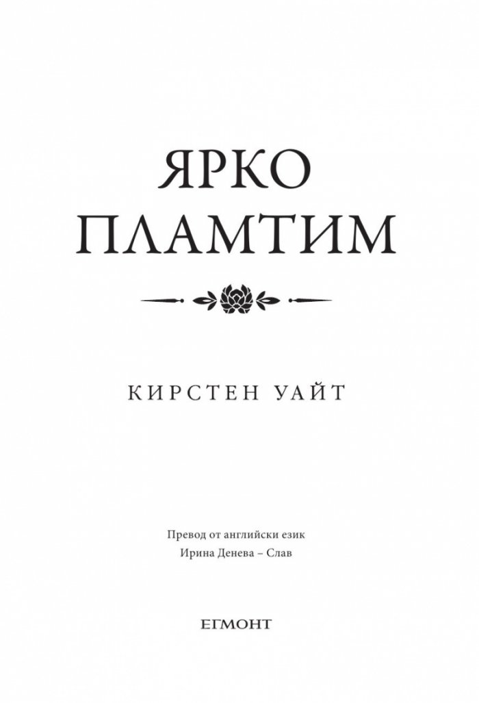 Влизам в мрака Кн.3: Ярко пламтим
