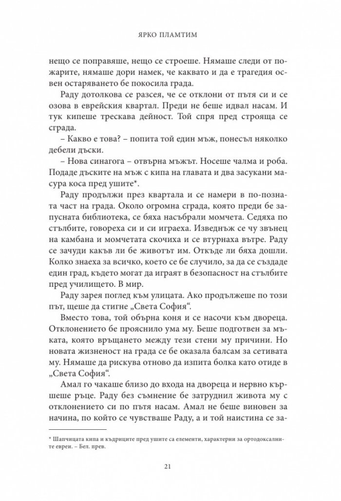 Влизам в мрака Кн.3: Ярко пламтим