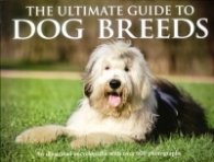 The Ultimate Guide To Dog Breeds