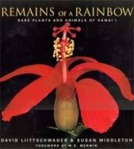 Remains of a Rainbow